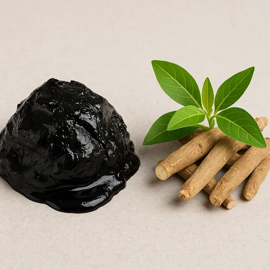Shilajit vs Ashwagandha Benifits