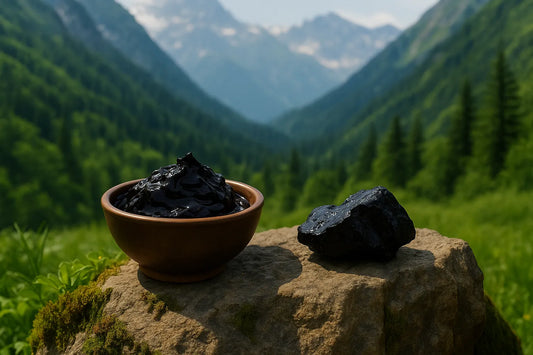 A bowl of Shilajit placed on a rock with lush green mountains in the background, symbolizing Ayurveda’s natural energy booster.