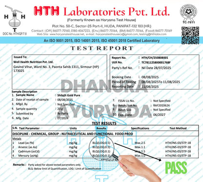 Premium Himalayan Shilajit Resin - Gold - Original Himalayan Shilajit- Dhanura