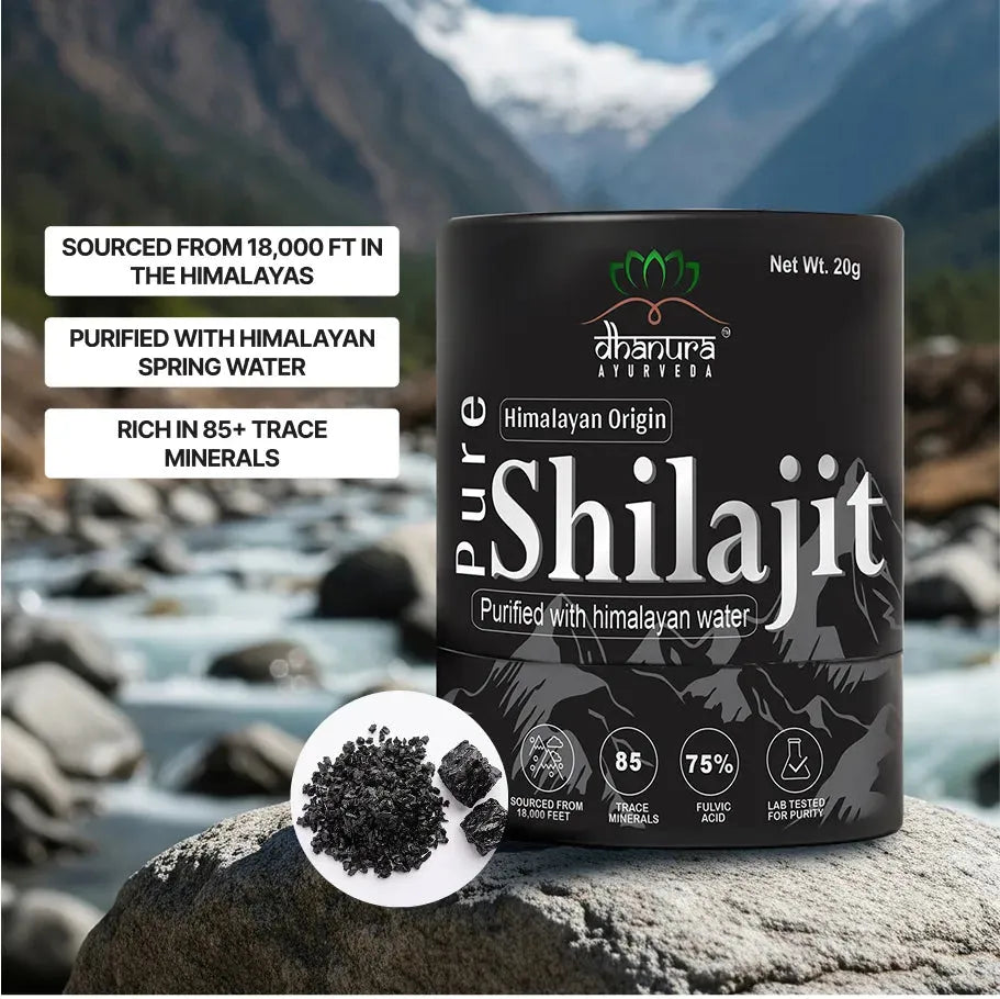 Dhanura Pure Himalayan Shilajit Resin - 85+ Minerals, 75% Fulvic (20 Gram)