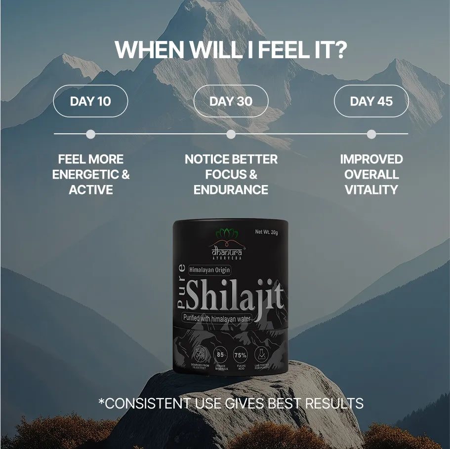 Pure Himalayan Shilajit Resin - 85+ Minerals, 75% Fulvic (20 Gram)