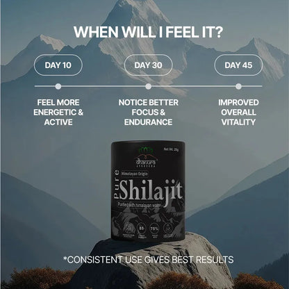 Dhanura Pure Himalayan Shilajit Resin - 85+ Minerals, 75% Fulvic (20 Gram)
