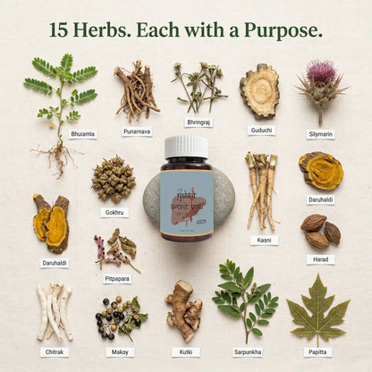 Dhanura Yakrit Amrit Vati - Ayurvedic Liver Detox Supplement