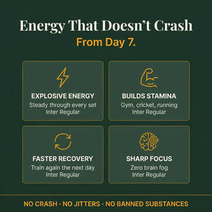 Dhanura Sfurti Vardhak - Ayurvedic Energy & Vitality Booster